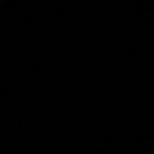 Meet your Posher, Gladis